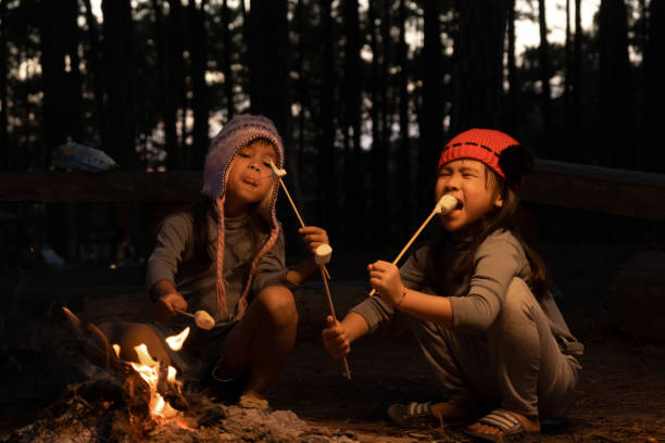 Cute little sisters roasting marshmallows on campfire. Children having fun at camp fire. Camping with children in winter pine forest. Happy family on vacation in nature.
