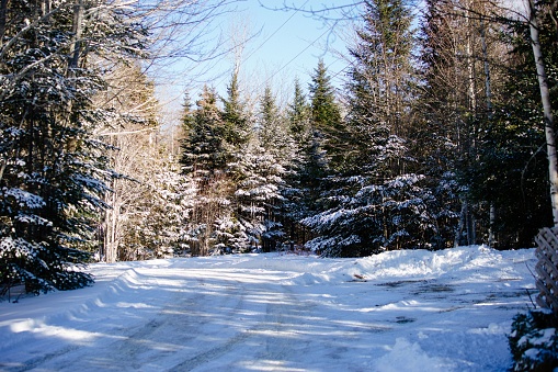A beautiful shot of a dirt road covered in snow through a forest during winter