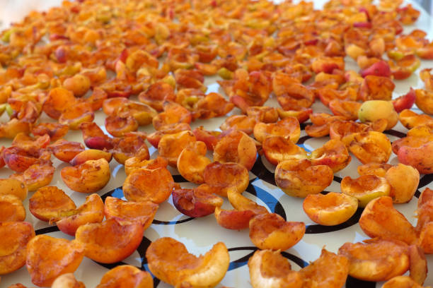 close-up apricot drying process, fruit drying process in summer, drying fruit in the sun,