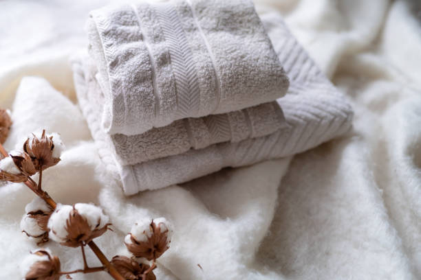 istock Stack of clean white towels and cotton branch with fluffy cotton bolls on soft blanket. Folding laundry and towels 1452899183