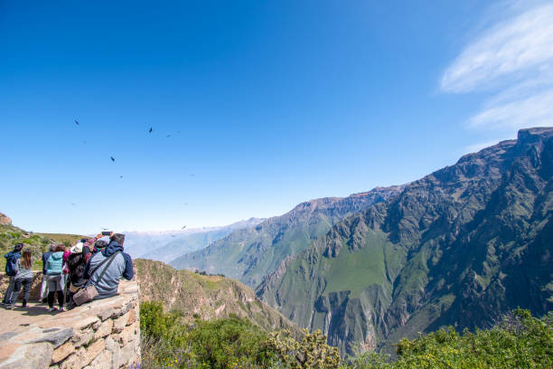 Cruz Del Condor, Colca Canyon, Peru - April 18, 2022; Cruz del Condor is a popular tourist stop to view the Andean condor. At this point the canyon floor is 1,200 metres (3,900 ft) below the rim of the canyon. This place was originally called Chacllacruz yet it is now known by the title of “Cruz del Condor” (Condor’s Cross) for two reasons: one, for the flyovers performed in this area by this famous Andean bird, especially in the morning, and two, because of the stone cross built overtop a striking stone promontory.