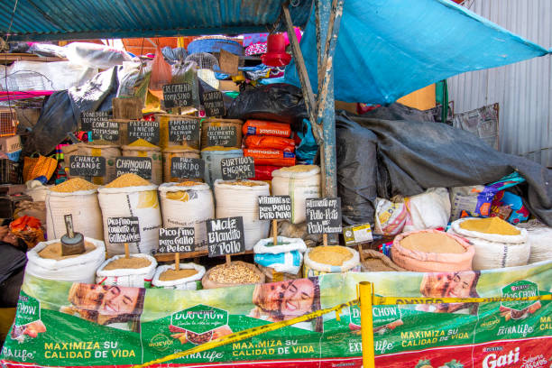 Arequipa, Peru - April 14, 2022: San Camilo Market is one of the biggest markets in southern Peru.  It is located in the historical centre of Arequipa between the streets of San Camilo, Perú, Piérola and Alto de la Luna. Arequipa's  historical centre has been declared a UNESCO World Heritage Site.