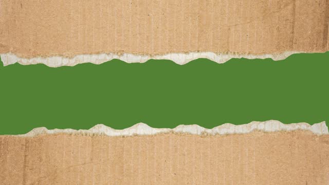 Ripped cardboard pieces on green screen chroma key background with copy space