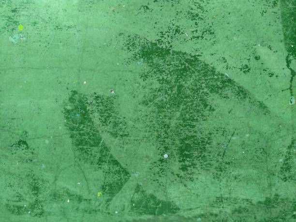 istock Old floor with a green color theme. 1452901968