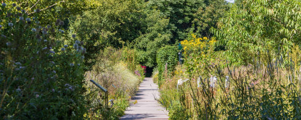 Garden and path  in Hortus botanicus of Alkmaar in North Holland The Netherlands