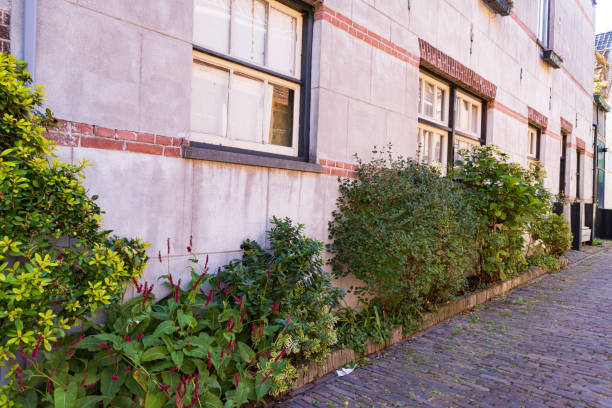 istock Urban greening in Hoorn The Netherlands 1452903758