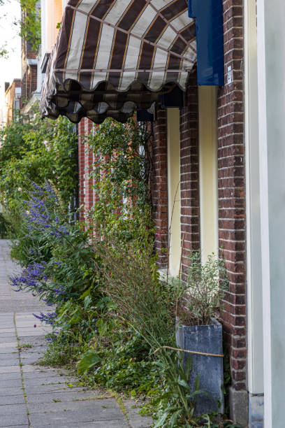 istock Facade garden in Groningen The Netherlands 1452903811