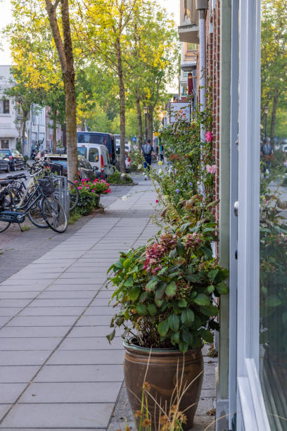 istock Urban greening in Groningen The Netherlands 1452903870
