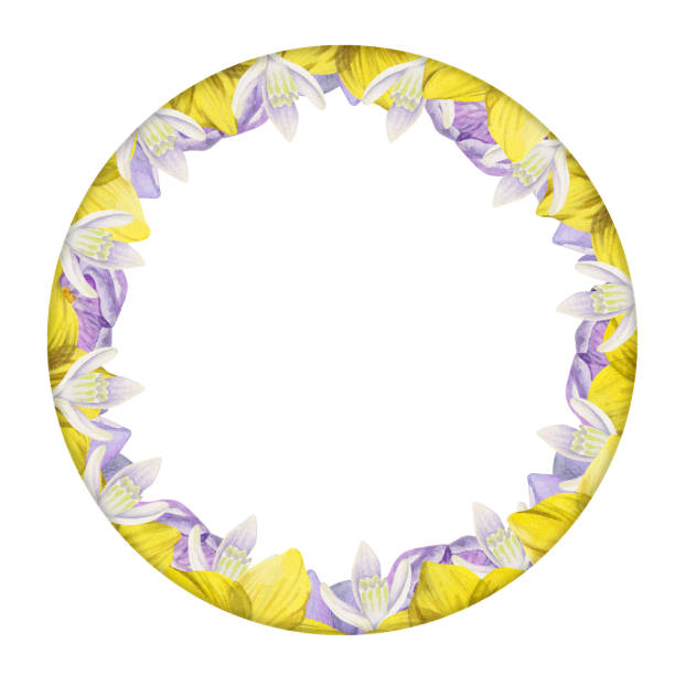 istock Watercolor hand drawn circle wreath with spring flowers, daffodils, crocus, snowdrops, leaves. Isolated on white background. Design for invitations, wedding, greeting cards, wallpaper, print, textile. 1452903933