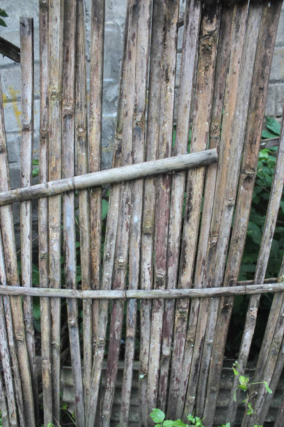 istock Photo of bamboo wall 1452905102