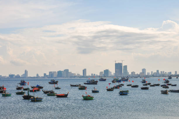 istock Son Tra peninsula in Viet Nam 1452905186