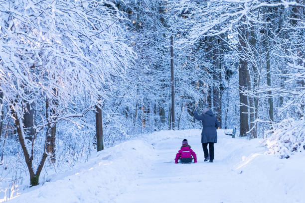 una anciana tiene 77 años y una niña tiene 7 años. caminar por un camino nevado en invierno. la abuela monta a un niño en un trineo. - 6 7 years lifestyles nature horizontal fotografías e imágenes de stock