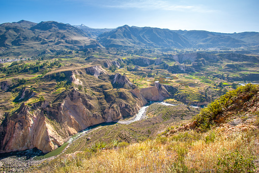 Colca Canyon, Arequipa, Peru - Peru, April 18, 2022: The Colca Canyon is one of the deepest canyons in the world. The depth is approximately 3,400m. The canyon is famous for its pre-Inca stepped terraces and ecosystem for a large number  of animal species such as alpacas and condors.