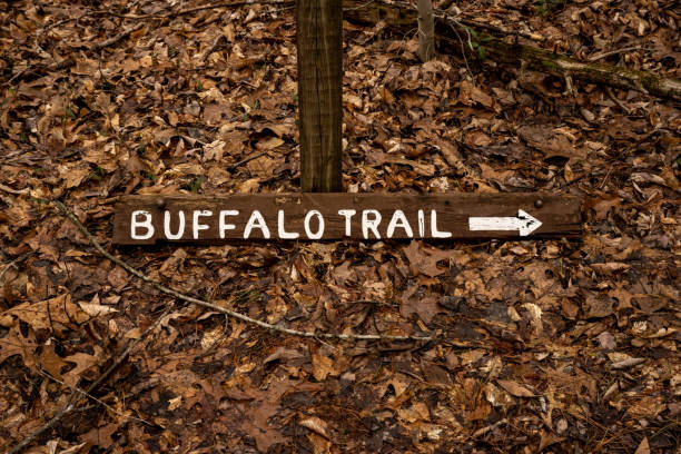 istock Broken Buffalo Trail Sign Lays On The Ground In Mammoth Cave 1452912388