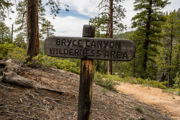istock Bryce Canyon Wilderness Sign 1452912460