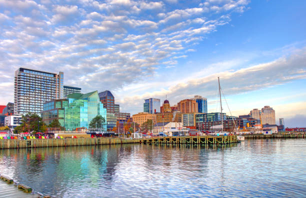 fotografii de stoc, fotografii și imagini scutite de redevențe cu halifax, nova scotia skyline - noua scoție