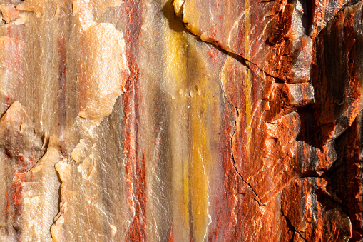 Stripes Of Orange and Yellow In The Detail of Petrified Wood macro image