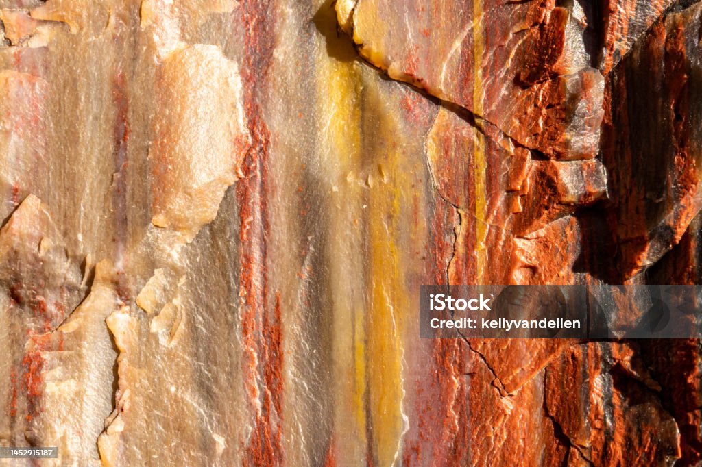Stripes Of Orange and Yellow In The Detail of Petrified Wood Stripes Of Orange and Yellow In The Detail of Petrified Wood macro image Petrified Wood Stock Photo