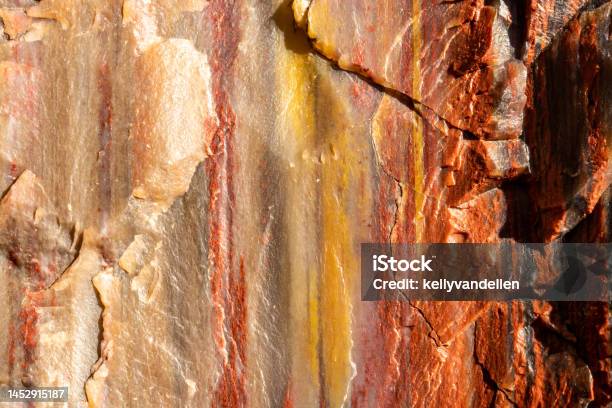 Stripes Of Orange And Yellow In The Detail Of Petrified Wood Stock Photo - Download Image Now