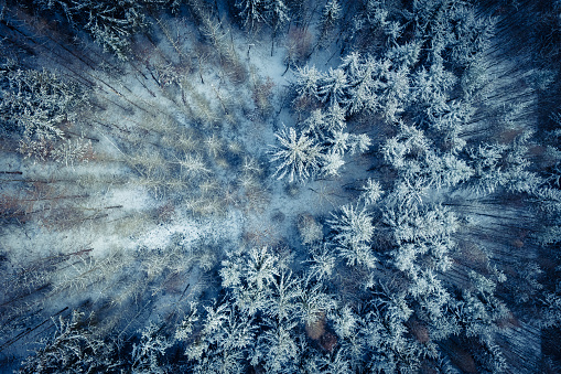 Aerial image of a winter landscape