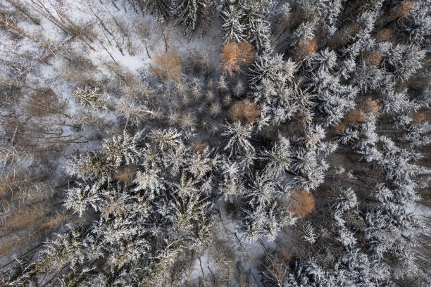 istock Aerial image of a winter landscape 1452920719