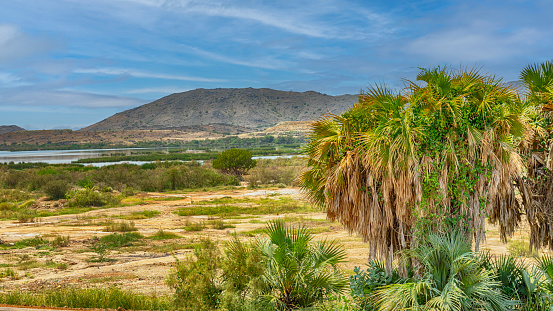 A lush valley south of Jazan in Saudi  Arabia is home to a lake crowned by a rich vegetation and palm trees