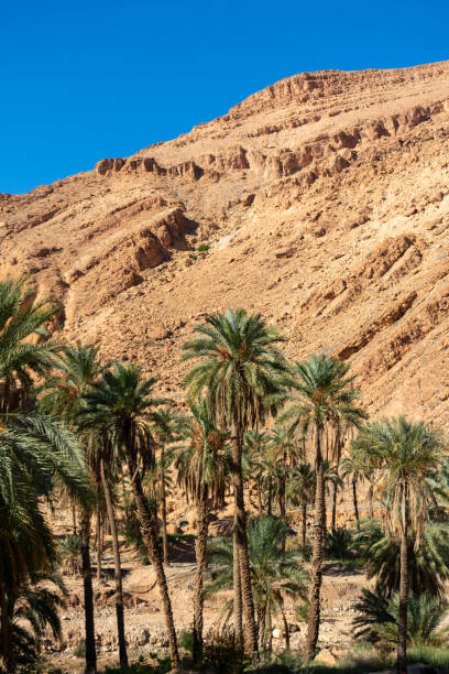 istock Scenic view from M'Chouneche, Biskra 1452923835