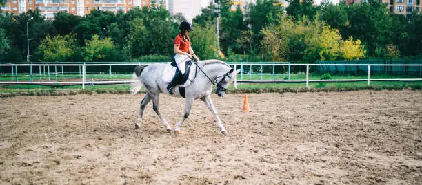 Caucasian active sportswoman riding on beautiful breed horse enjoying hobby practising during summer day on nature environment, concept of active Equestrianism for dressage champion stallion