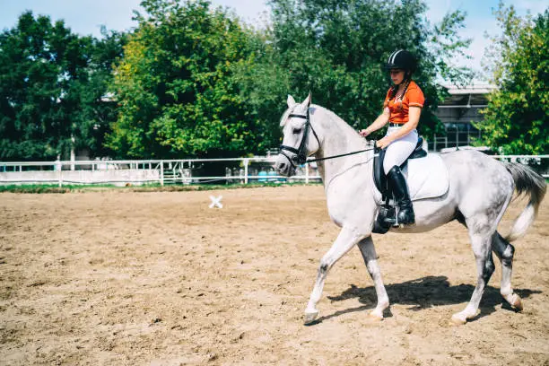 Caucasian active sportswoman riding on beautiful breed horse enjoying hobby practising during summer day on nature environment, concept of active Equestrianism for dressage champion stallion