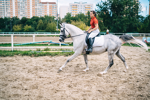 Hobbies with animal for recreating on nature environment, Caucasian female professional jockey enjoying leisure with beautiful stallion for practicing and riding on horseback during dressage
