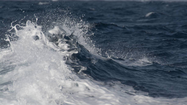 istock Splashing sea water with foam, bubbles, beautiful 1452928518