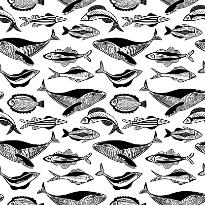 Hand drawn sketch sea fish pattern on white background. Vector seamless doolle style pattern with fish and whale.