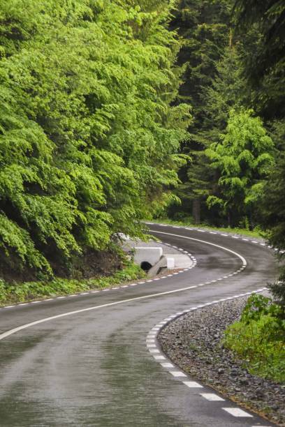 istock Mesmerizing vertical view of a curvy highway road through a green forest on a rainy day 1452934818