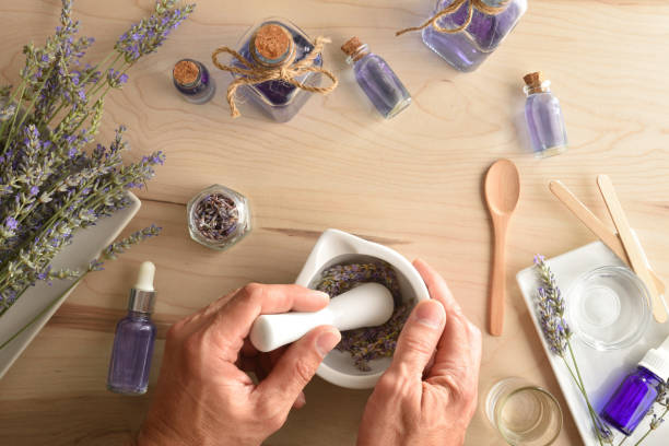 istock Person making homemade lavender essence with tools and spikes 1452935294