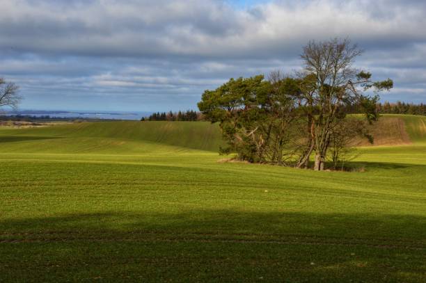 istock Green idyll in Mecklenburg-Vorpommern 1452939363