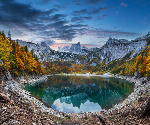 istock Tree stumps after deforestation near Hinterer Gosausee lake, Upper Austria. Autumn Alps mountain lake with clear transparent water and reflections. Dachstein summit and glacier in far. 1452941618