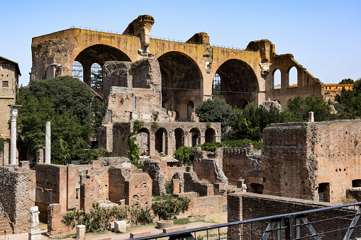 Ancient ruins on the Palatine Hill, Rome