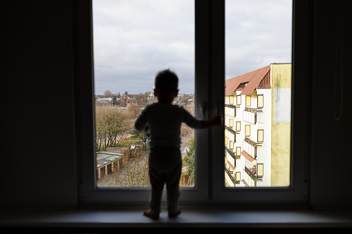 Child little girl with bunny at window.