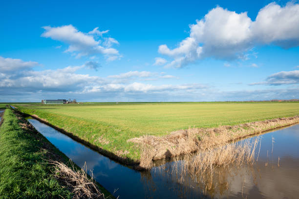 Green wide open landscape \