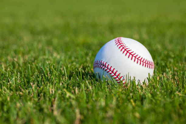 baseball ravvicina la messa a fuoco selettiva angolo basso nell'erba esterna in un campo da baseball - baseball field grass baseballs foto e immagini stock