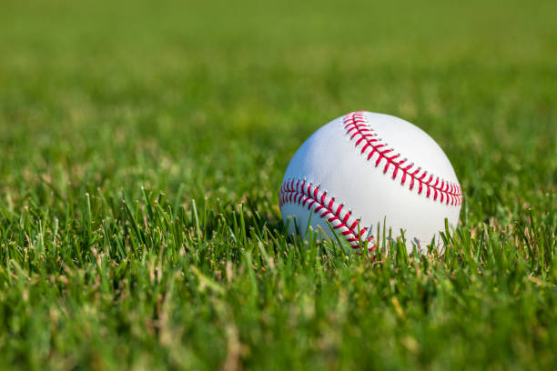 Baseball close up selective focus low angle in the outfield grass at a ballpark stock photo