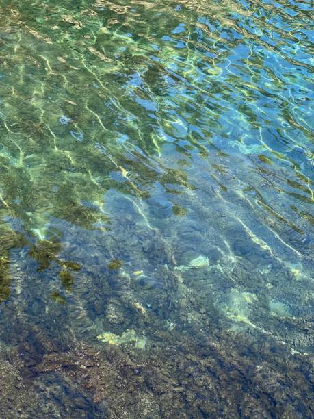 istock Clear water in the sea. 1452960943