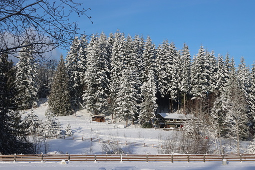 Rural scene in the snowy winter near Port Angeles, Washington