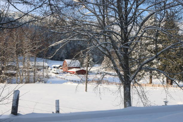 istock In The Countryside In The Winter 1452970900