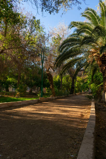 istock 5 July 1962 Garden in Biskra 1452971036