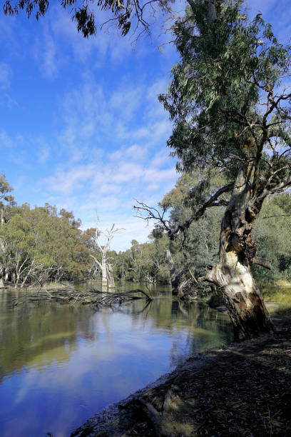 istock Deniliquin, New South Wales, Australia 1452971072