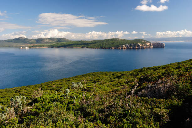 istock View of Punta Giglio from Capo Caccia 1452971078