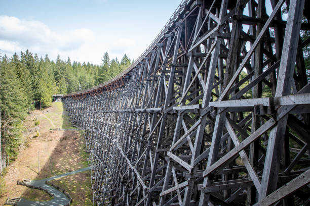 istock wooden rail trusses in British Colombia 1452973195