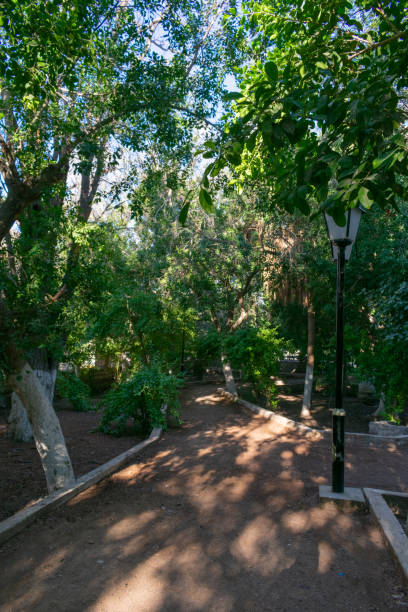 istock 5 July 1962 Garden in Biskra 1452978840