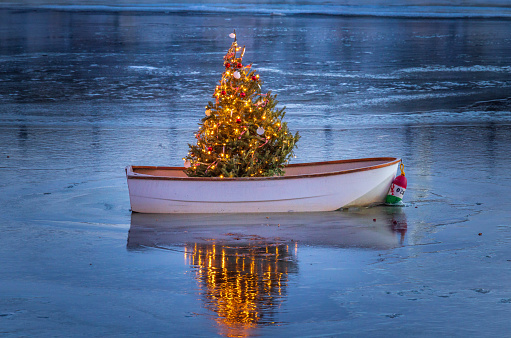A Christmas tree stands in a dinghy at night